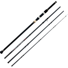 Load image into Gallery viewer, BERRYPRO Surf Spinning Fishing Rod Graphite Spinning Rod