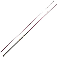 Load image into Gallery viewer, BERRYPRO Surf Spinning & Casting Fishing Rod Carbon Fiber Travel Fishing Rod