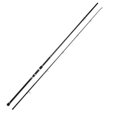 Load image into Gallery viewer, BERRYPRO Surf Spinning Fishing Rod Graphite Spinning Rod